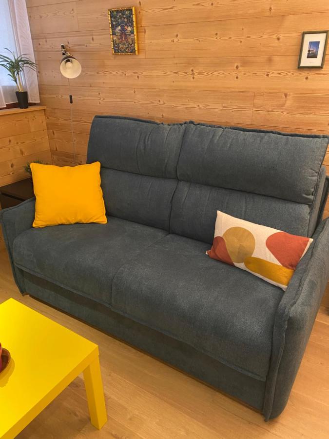 Studio Confortable Style Chalet, Saint Lary Soulan Centre Village, 6 Nuits Minimum 外观 照片